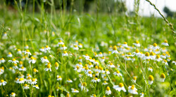 Het mooiste stukje Heuvelland in Zuid-Limburg