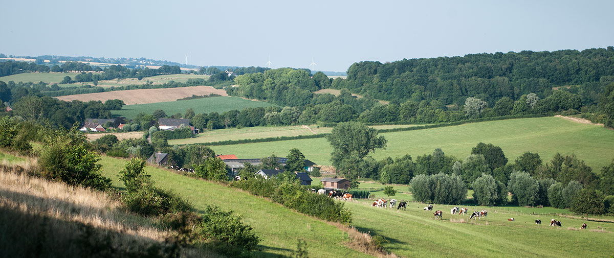 Omgeving De Puthof